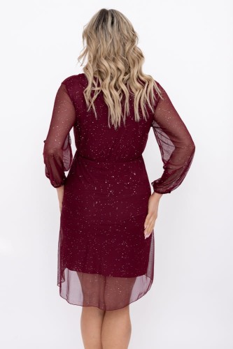 pol_pl_Bordowa-blyszczaca-Sukienka-siateczkowa-25126_3.jpg